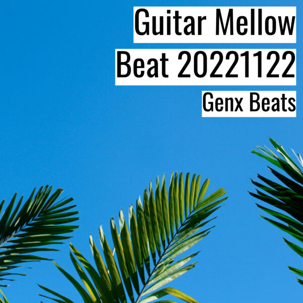 Guitar Mellow Beat 20221122